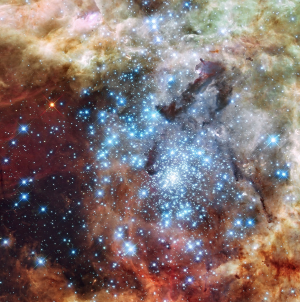 Screenshot 2026 01 29 at 11.54.40AM